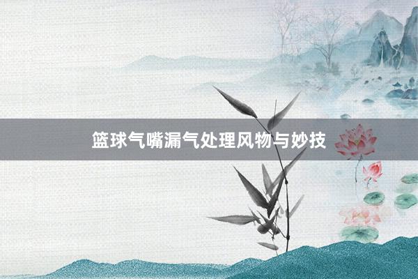 篮球气嘴漏气处理风物与妙技